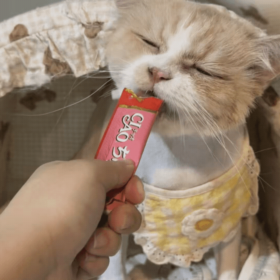 430120cbd8ef9.gif