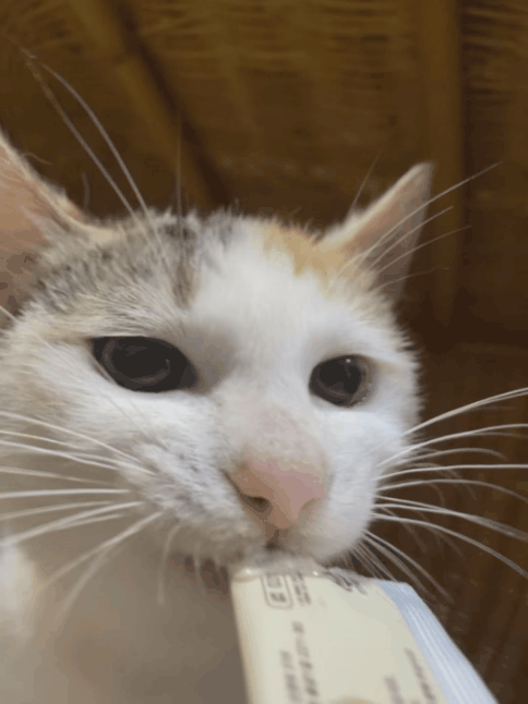 4696c7f093efa.gif