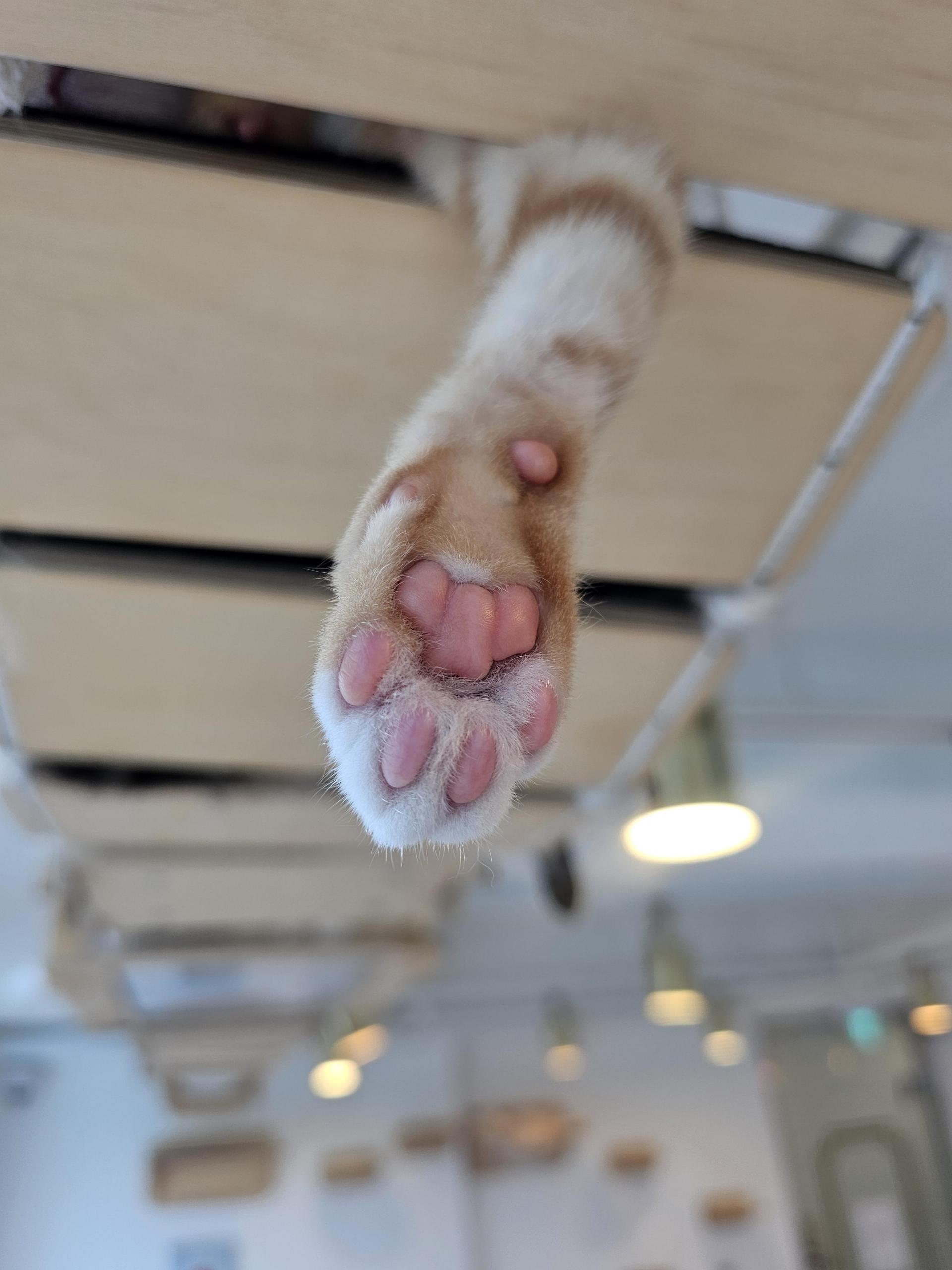 47ca169802295.jpg