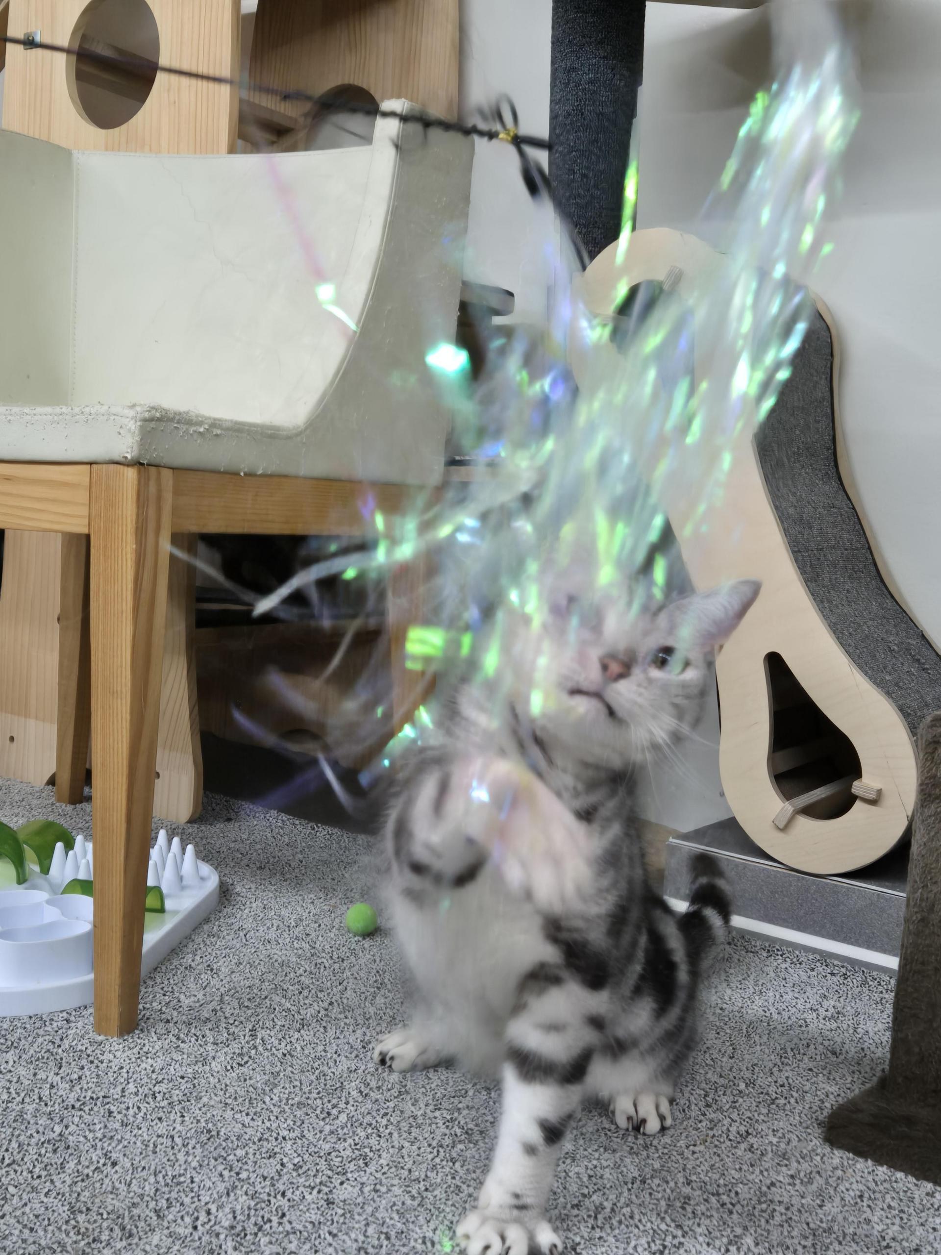 49d5c4665a7ce.jpg