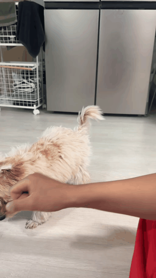 4c69875194c3f.gif