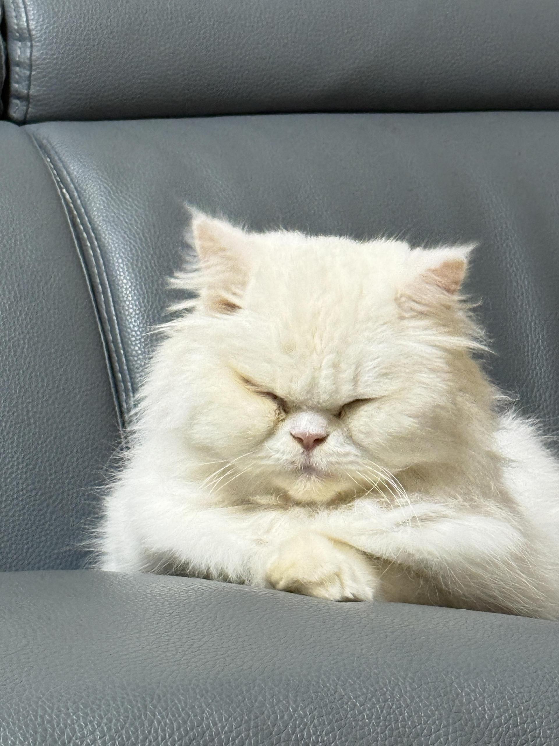 6bcfbffd4b555.jpg