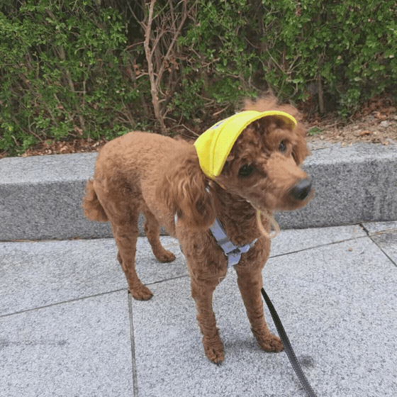 50b96d40aa143.gif