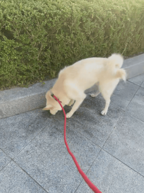 5343e092c9d38.gif