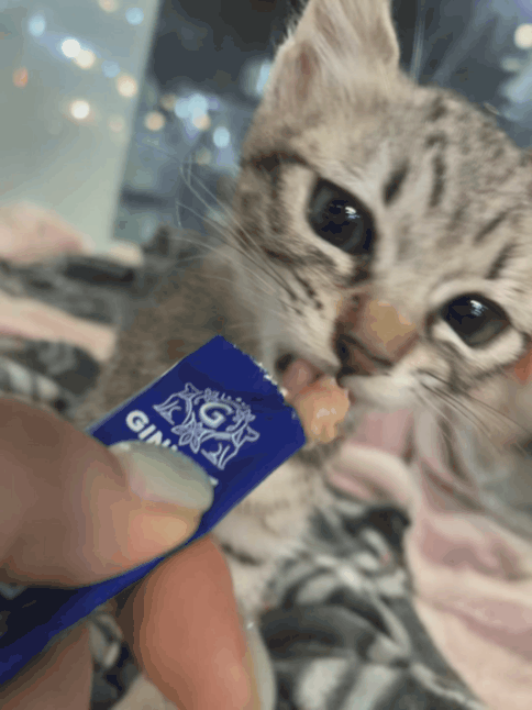 55557d25488a6.gif