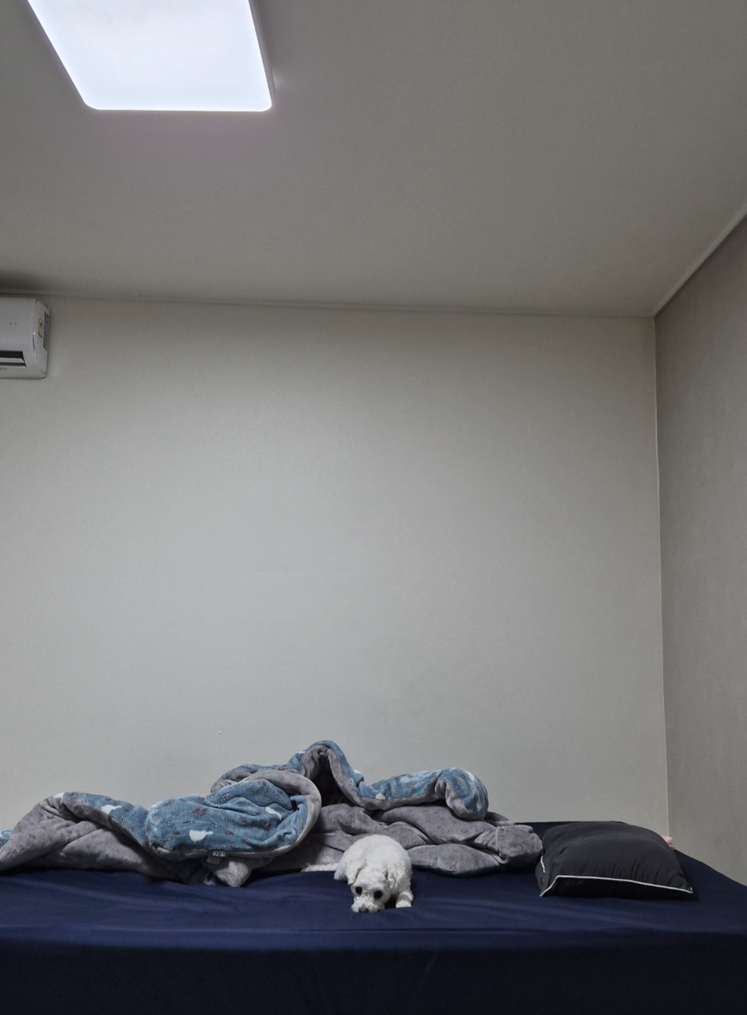 584f8e425f962.jpg