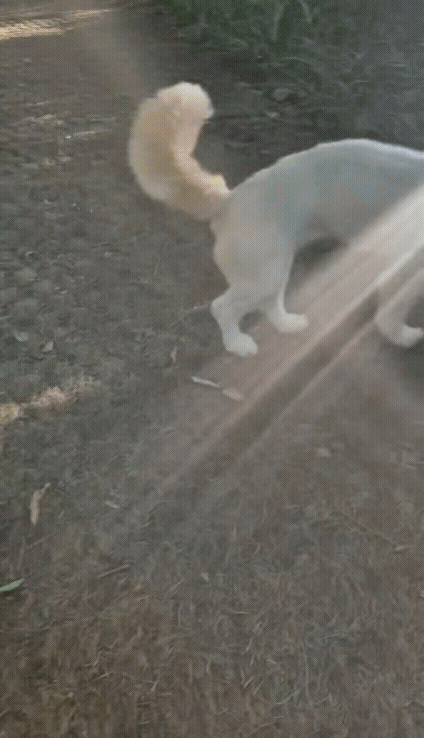 597d6d2a8d570.gif