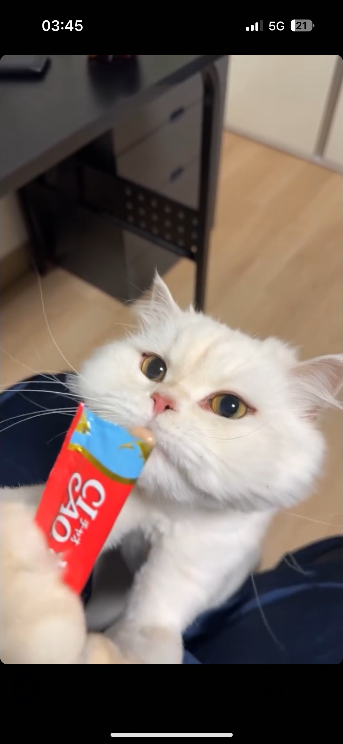 88fbbb72e6bfc.jpg