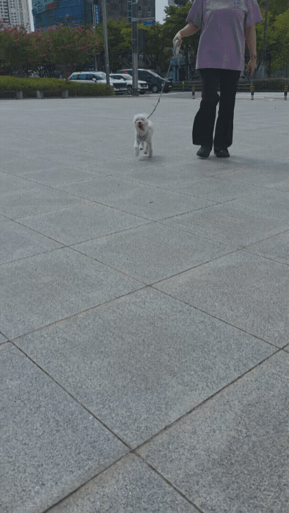 5cf7609567c3a.gif
