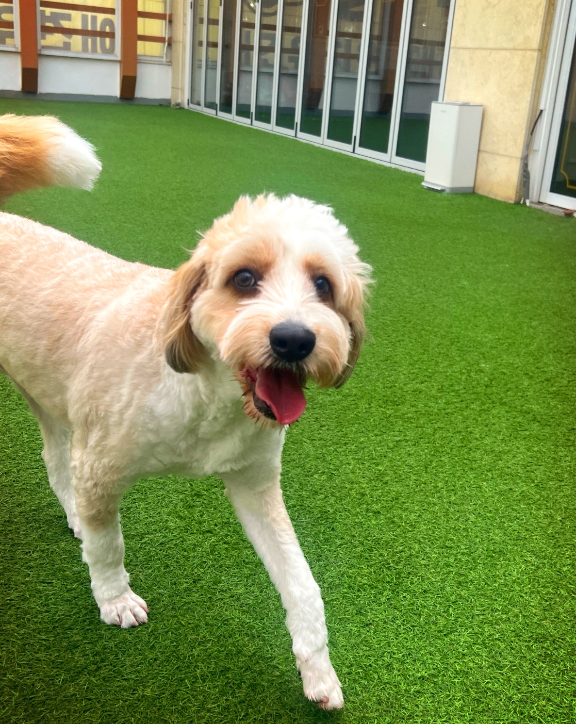 5e587ba846473.jpg