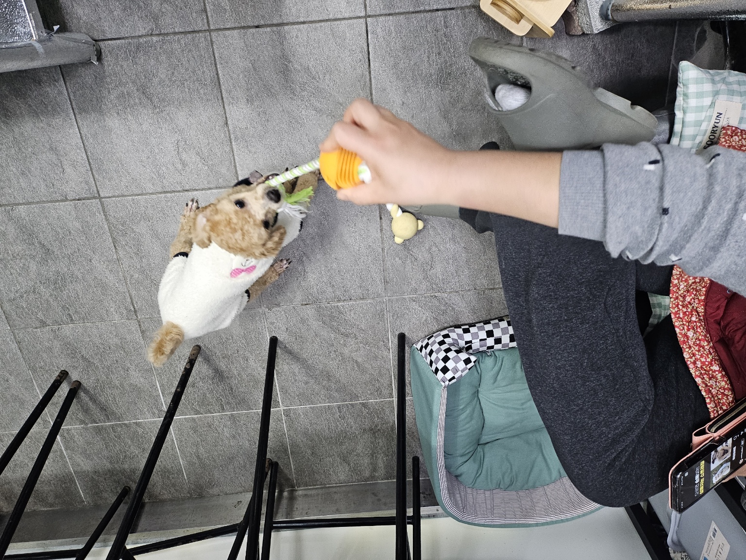 5edf6486a87cd.jpg