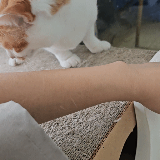 60275fd824926.gif