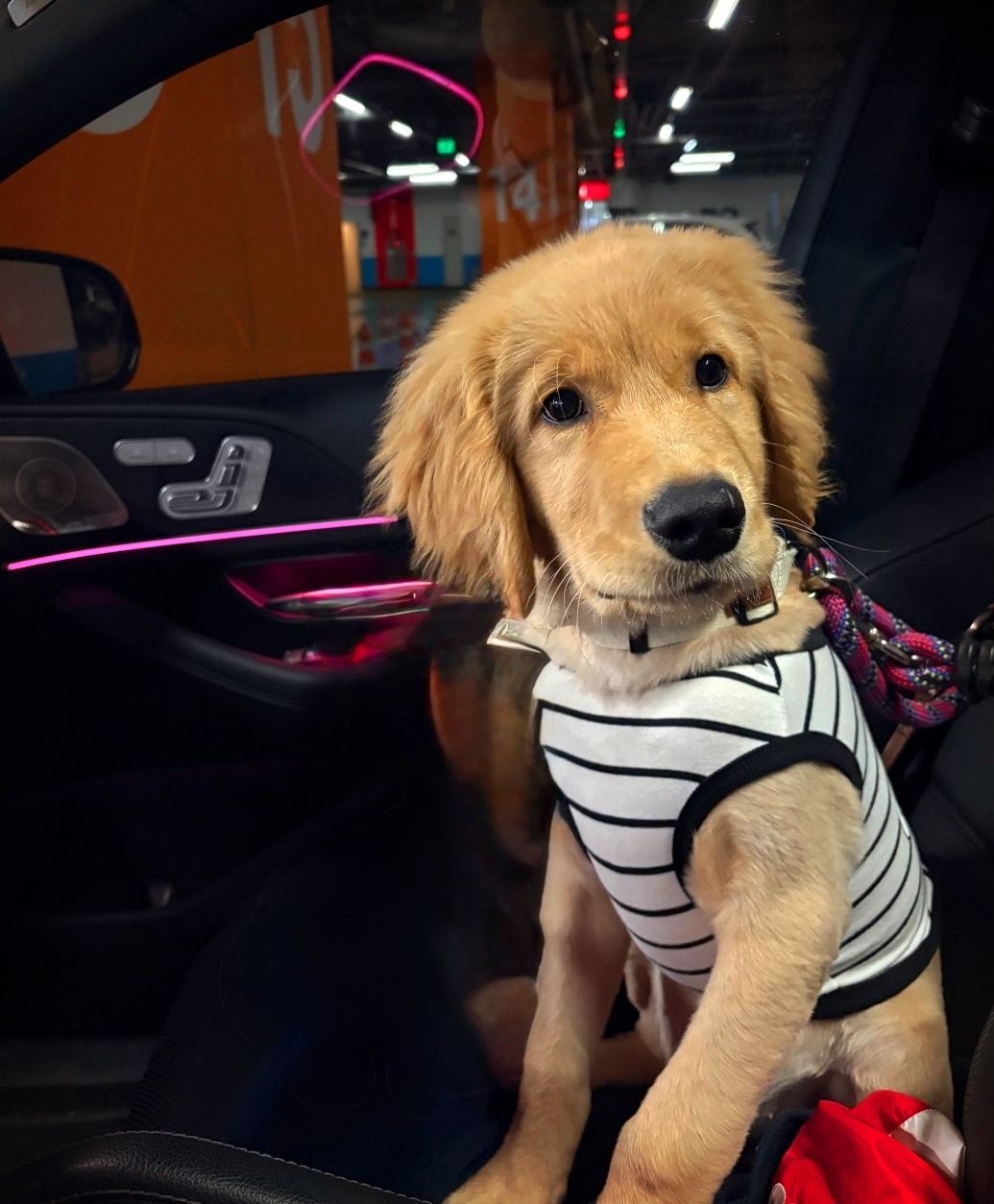 605328d48be5a.jpg