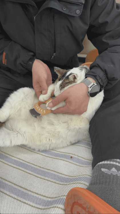 60e546458c95a.gif