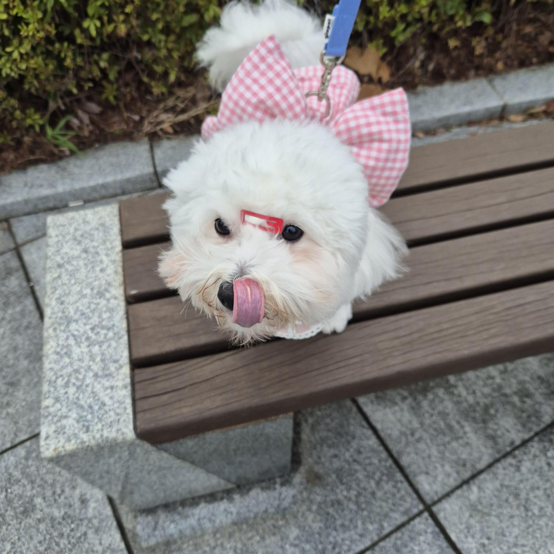 61548f80fb207.jpg