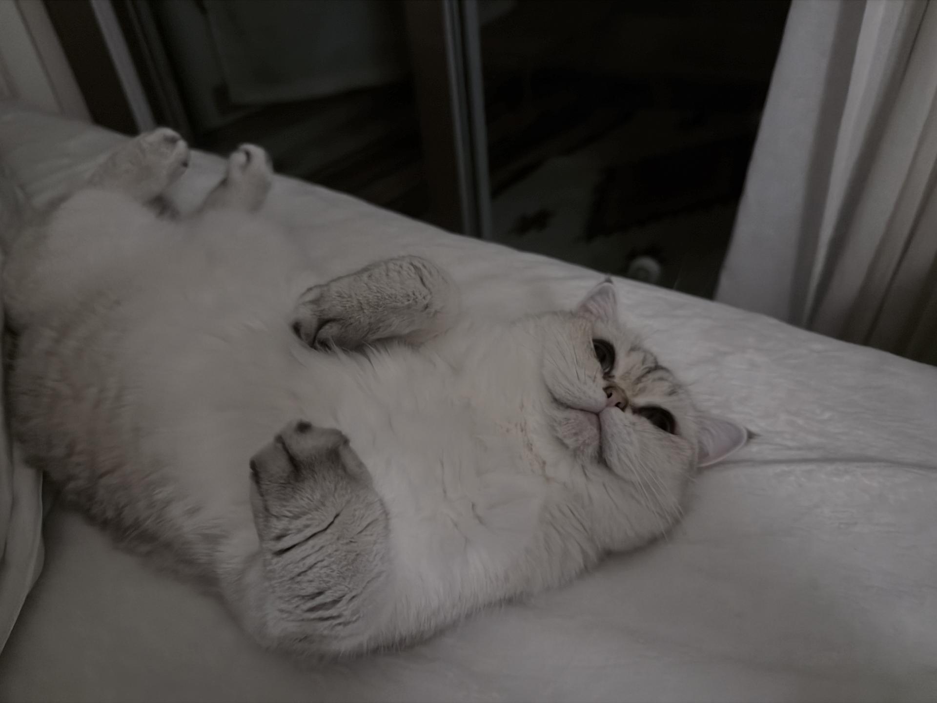 627084abda16a.jpeg