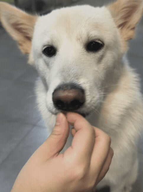 65b00488b56cf.gif
