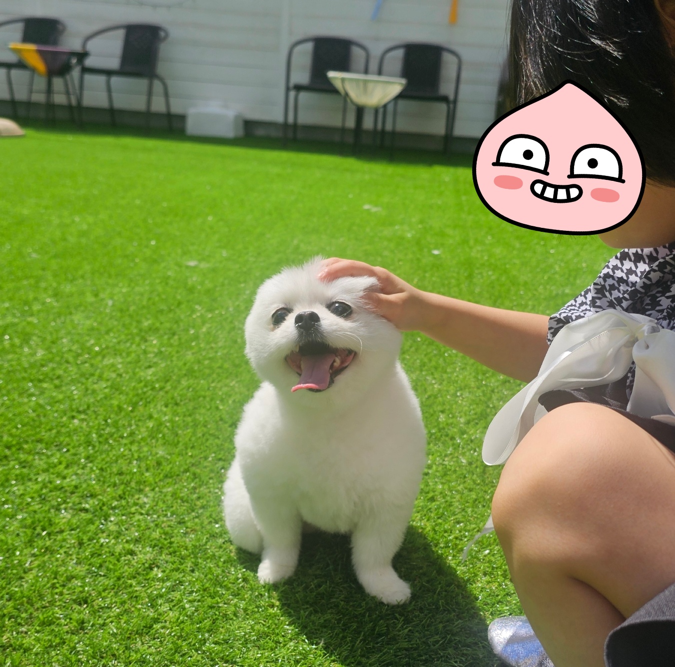 662fa0841649f.jpg