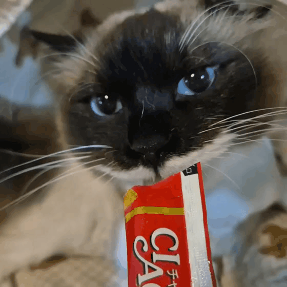 670d9b434d773.gif