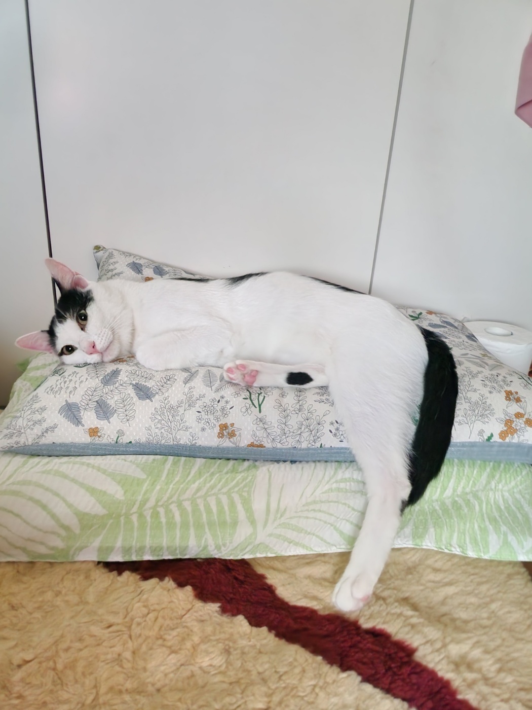 6bed418583ec6.jpg