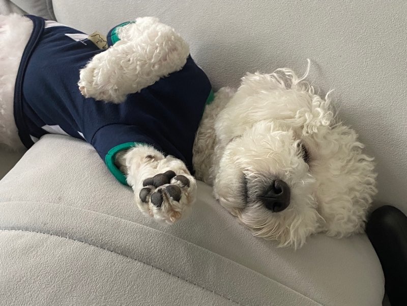 6d0ff4e0115fb.jpg
