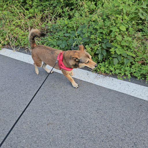 6e3747c4336ea.gif