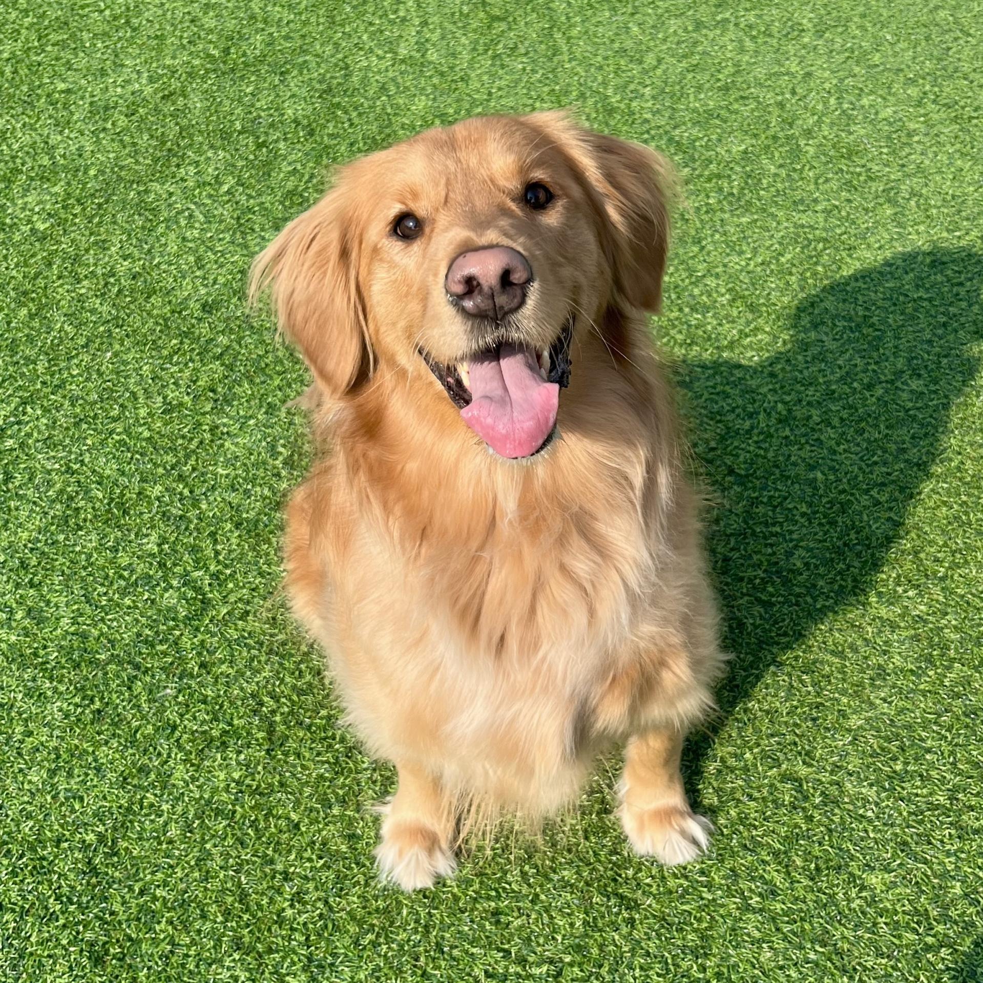 4631d0d5ea5c5.jpg