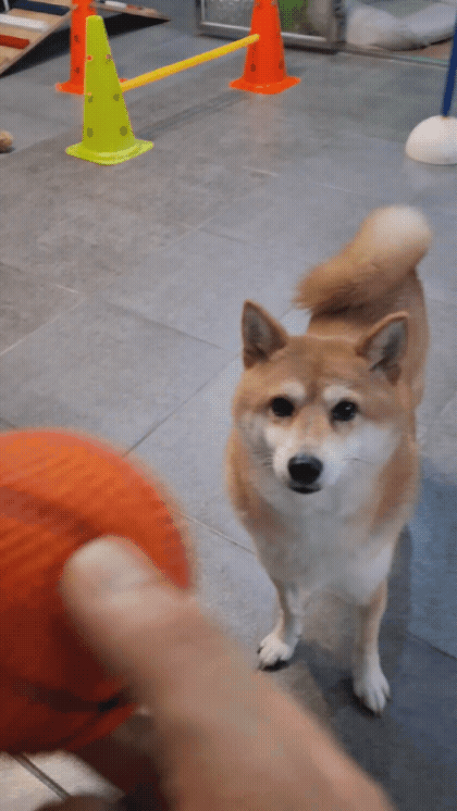 747d8d36d3025.gif