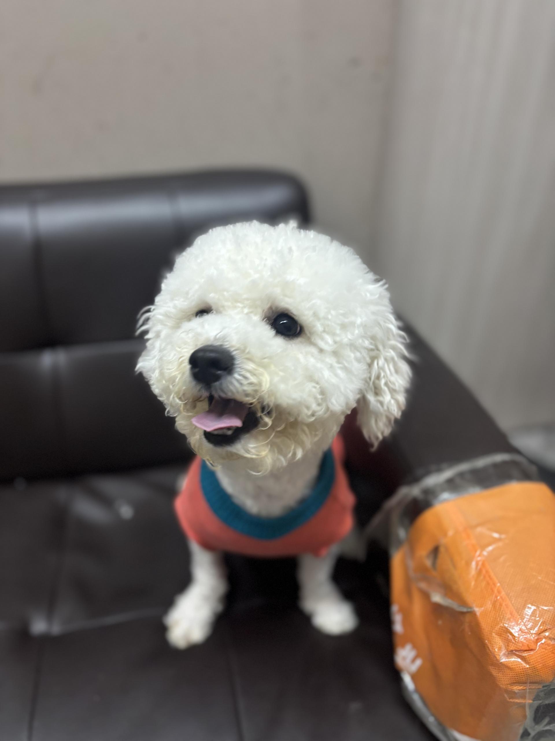 7617f6c60b8a0.jpg