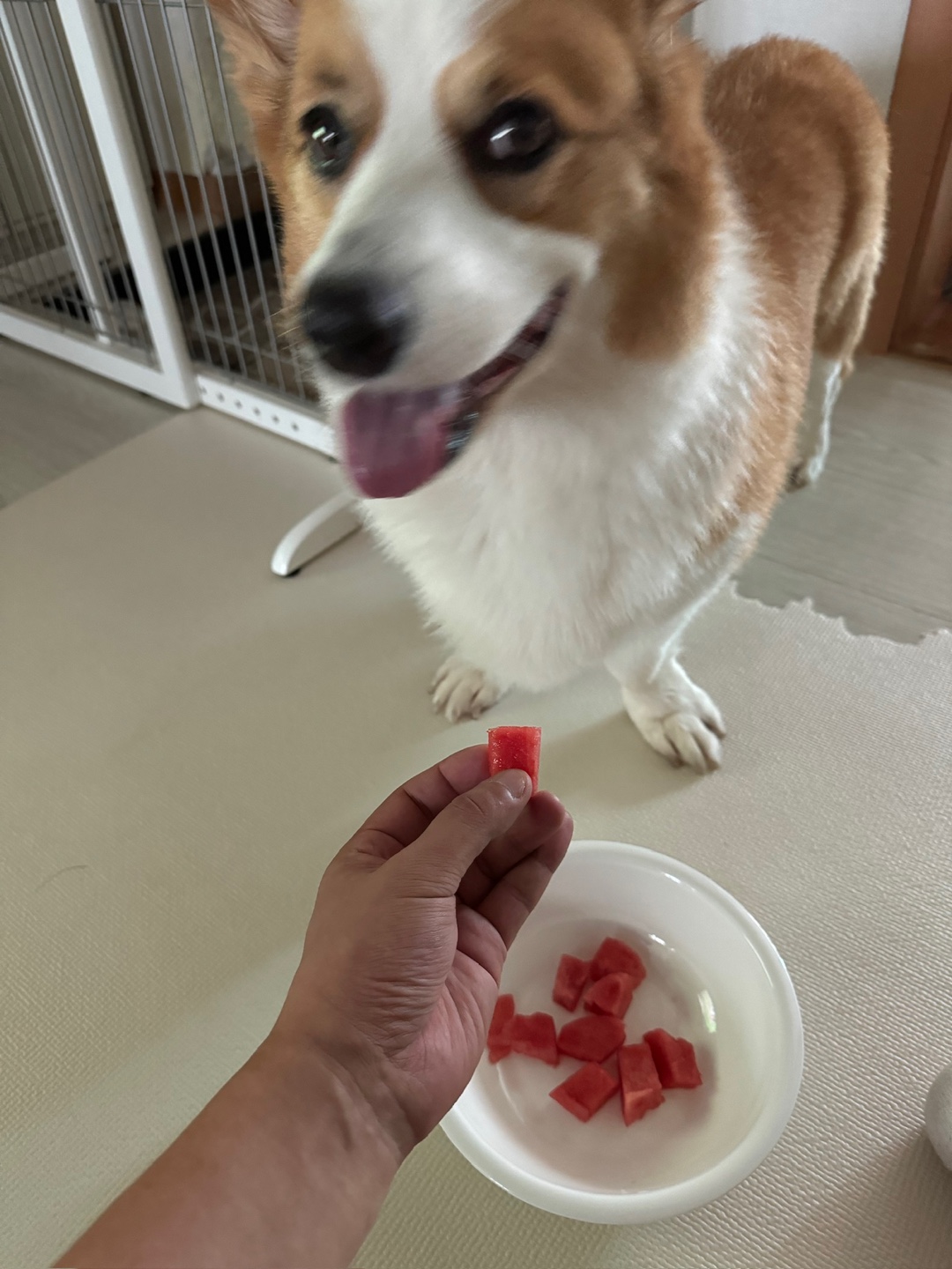 7a6b0eb41b28f.jpg