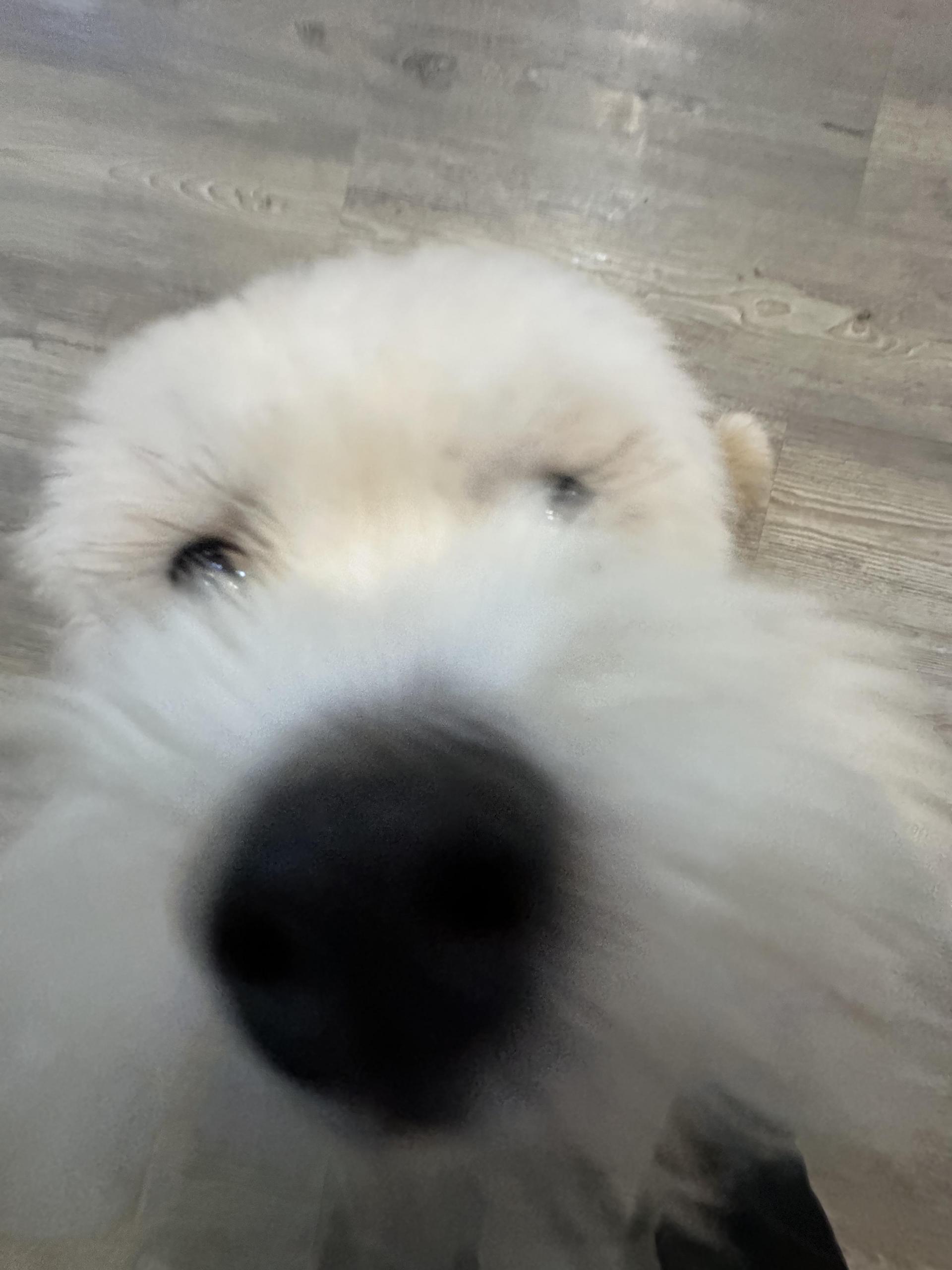 7ba2fa98d5d73.jpg