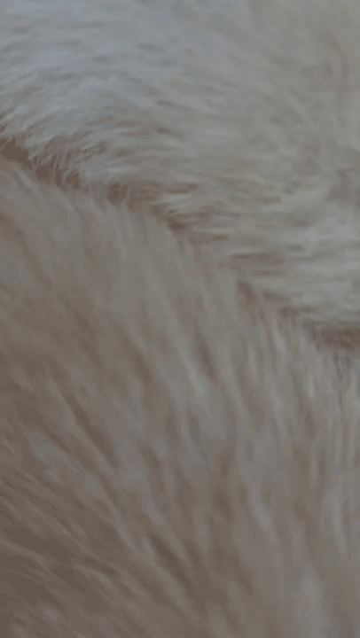 7d6094042e9c8.gif