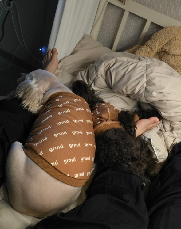873848a92a831.png
