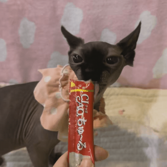 8a5cbc2483cbf.gif