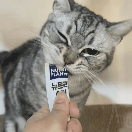 8c50ea7002f64.gif