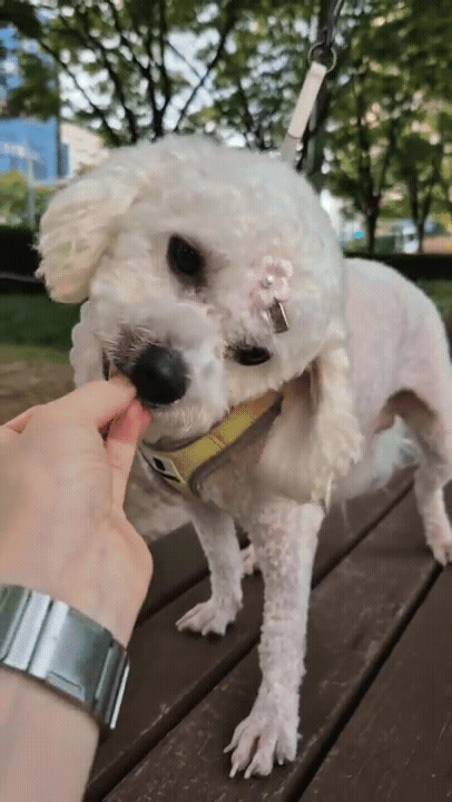 8fc6f285e4efa.gif