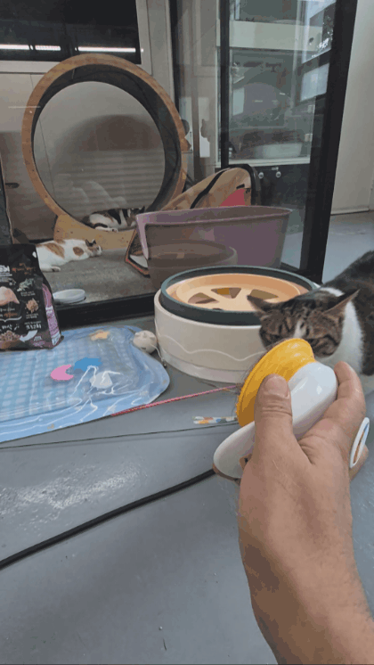 92f8e4dbe2521.gif