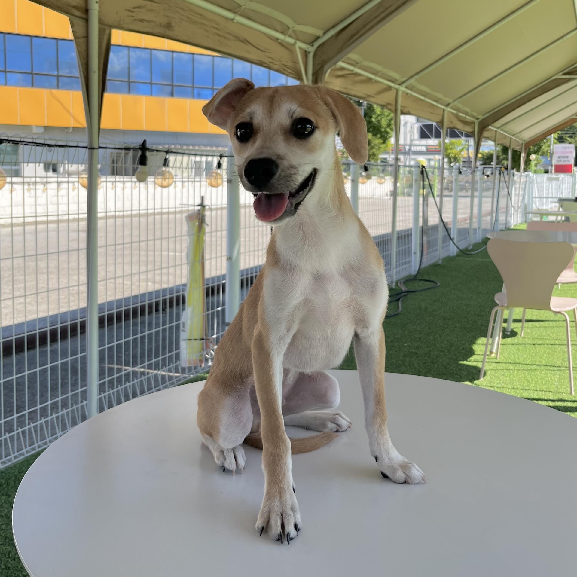 94b196ea51b0e.jpg