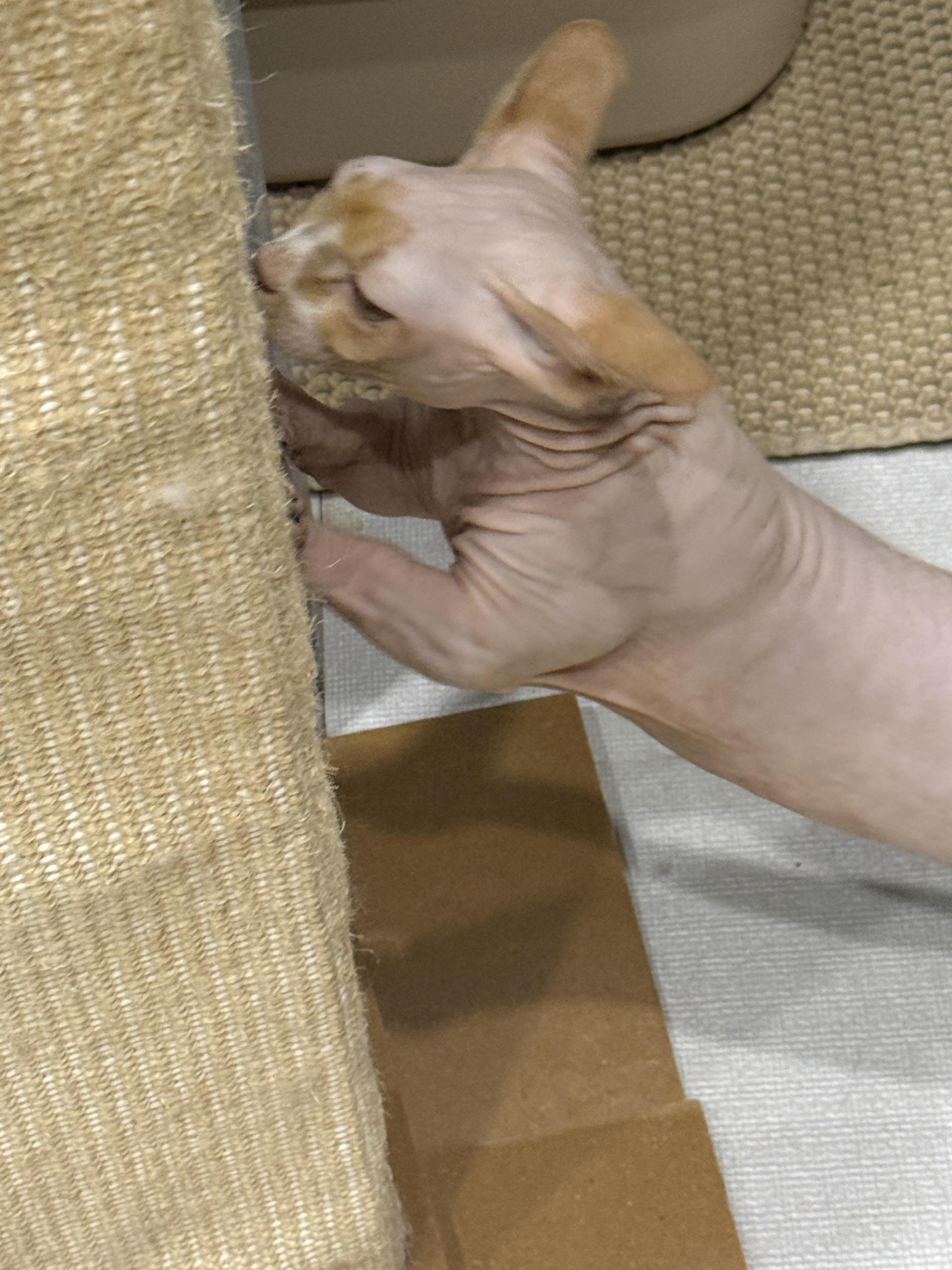 97b90b3d4ae37.jpg