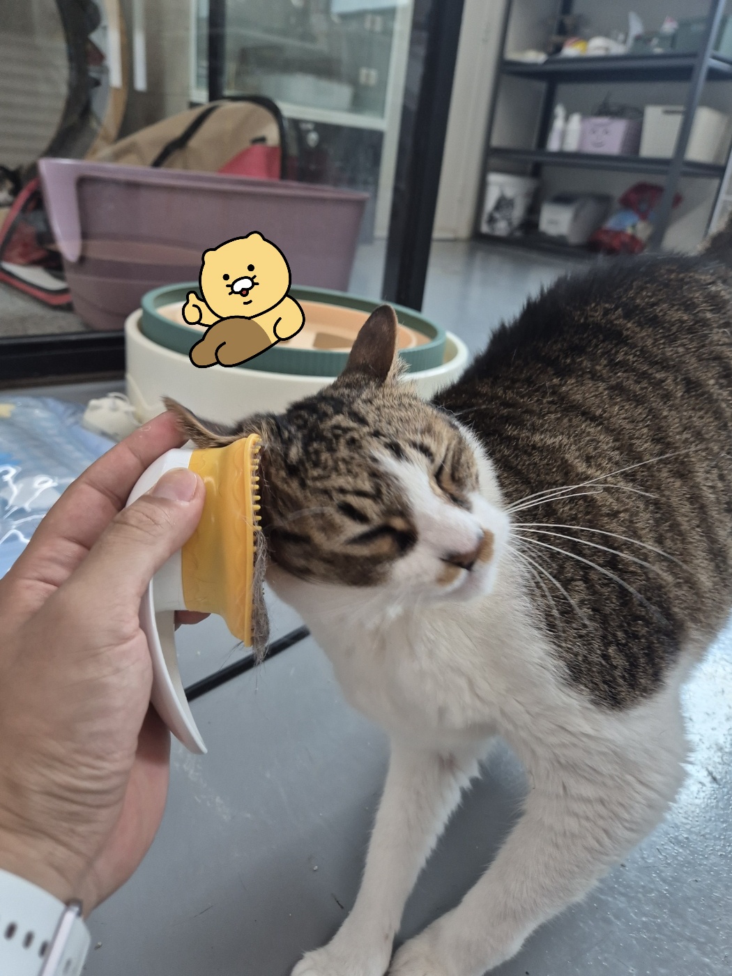 97f24c4551fa0.jpg