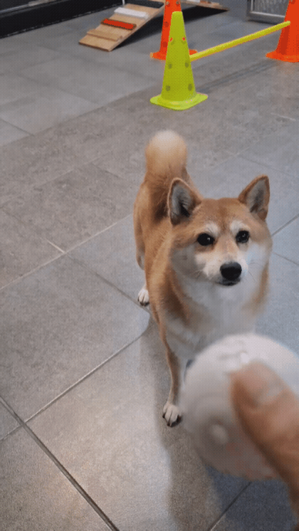 9a14068968ad2.gif
