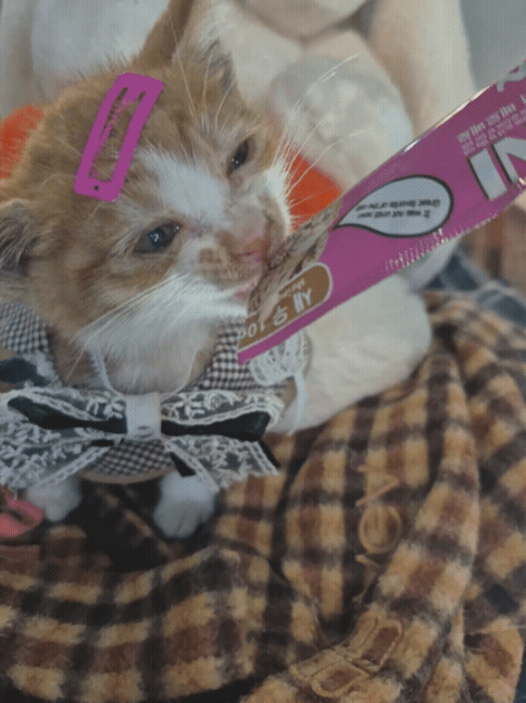 9c7c092b9b1b4.gif