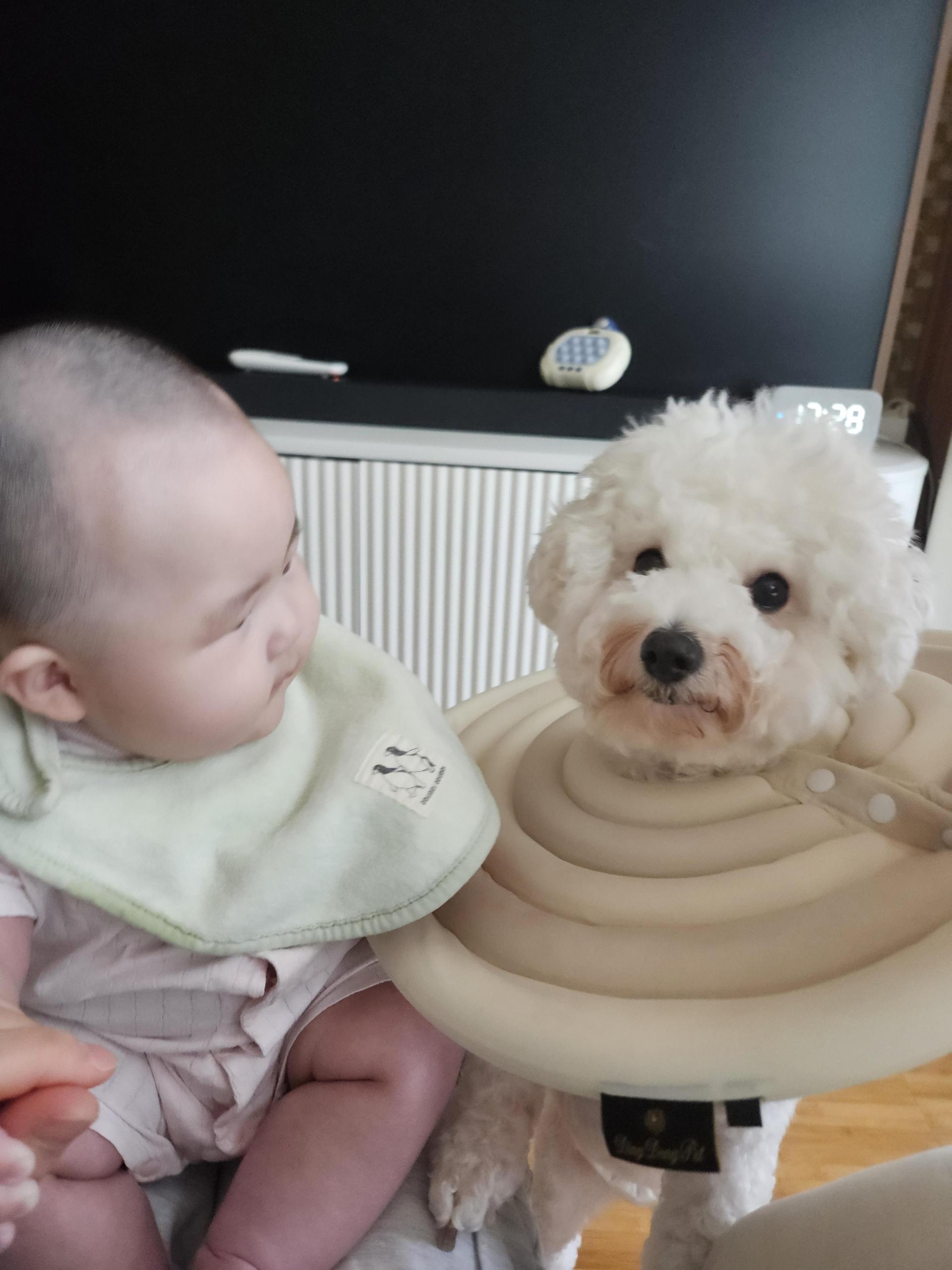 9d50d39ed9803.jpg