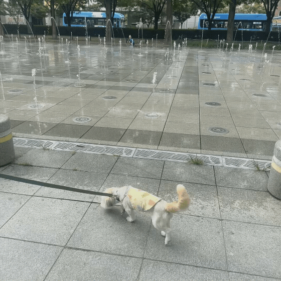 a34b62b0d922b.gif