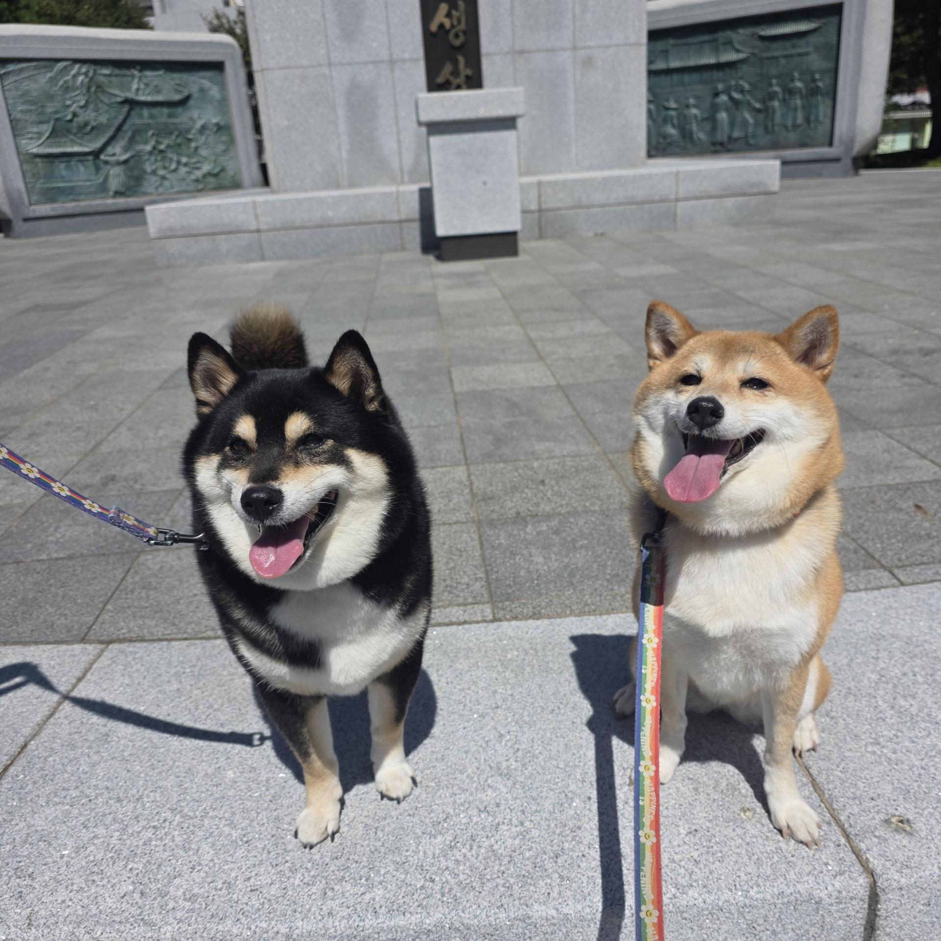 a3d7b7188561a.jpg
