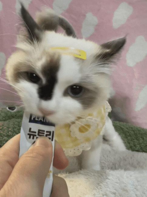 a5677679eee09.gif