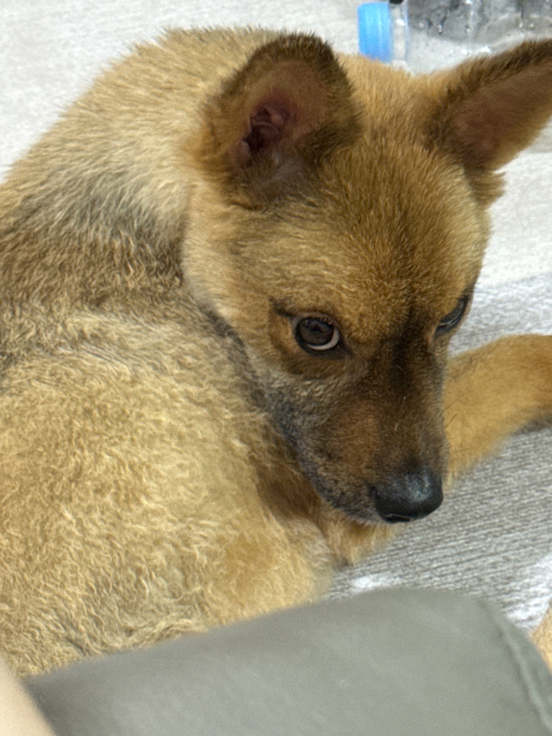 abf5fdc469dbc.jpg