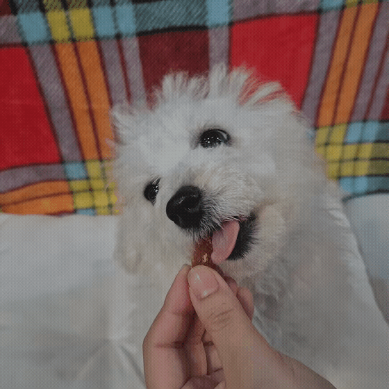 b1c047707667c.gif