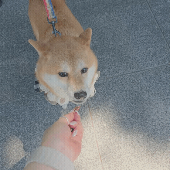 b2976f38a3b63.gif