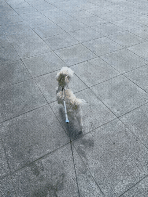 b39860ed540ef.gif